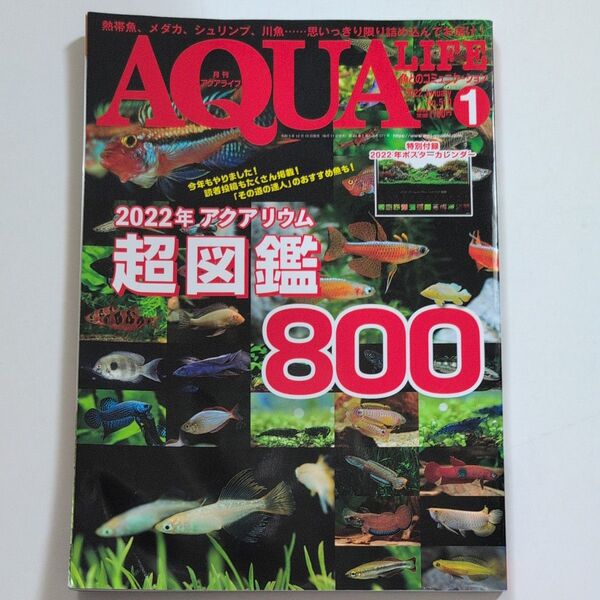 月刊アクアライフ 2022年1月号 (エムピージェー)