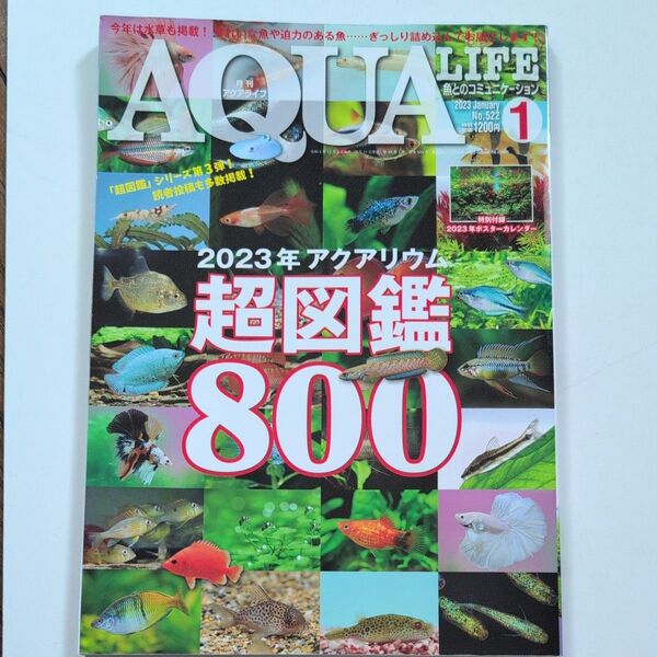 月刊アクアライフ 2023年1月号 (エムピージェー)