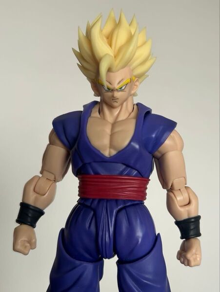 S H Figuarts フィギュアーツ 孫悟飯 カスタムヘッドパーツ ドラゴンボール