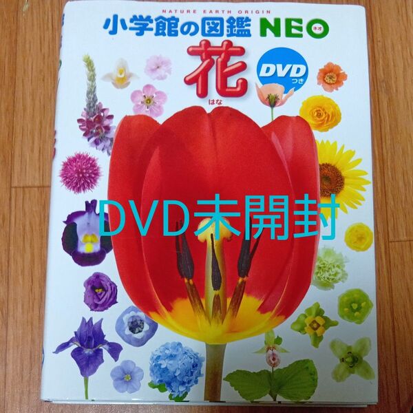 花 (小学館の図鑑NEO 19) 多田多恵子/監修・執筆 大作晃一/ほか写真