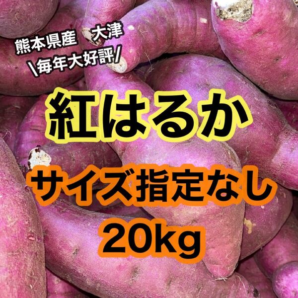熊本県産(産地直送)訳ありべにはるか約20kg(送料無料)
