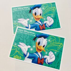 東京ディズニーリゾート スポンサーパスポート チケット ペア 有効期限2025/06/30