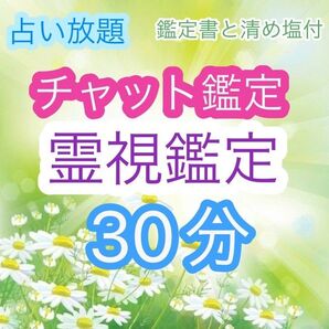 占い放題 30分間 チャット鑑定占い 霊視鑑定 鑑定書・清め塩発送