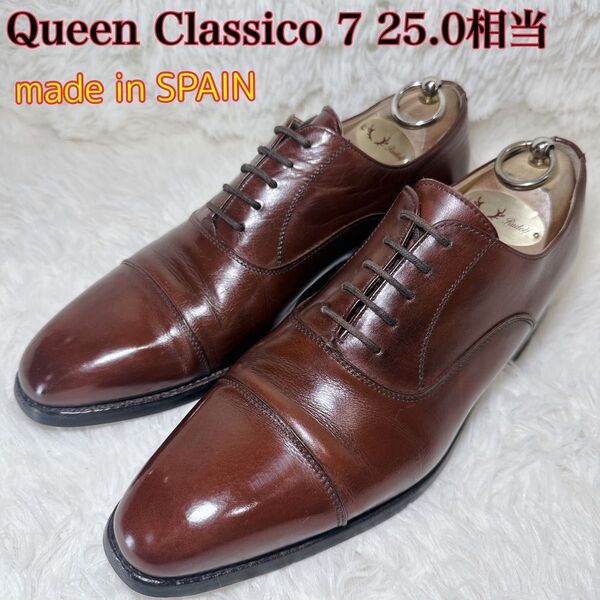 Queen Classico クインクラシコ 表記7 25.0cm相当 ストレートチップ 茶系色 スペイン製 革靴 ビジネス