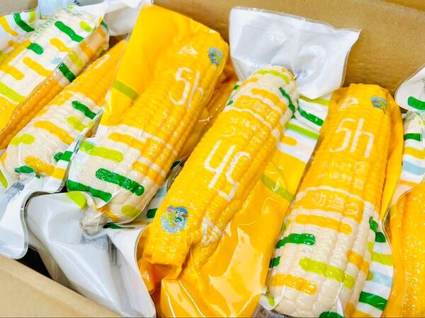 賞味期限更新★新入荷♪黄糯とうもろこし軸付き【40本入り・1ケース】真空パック もち糯玉米棒 おやつ