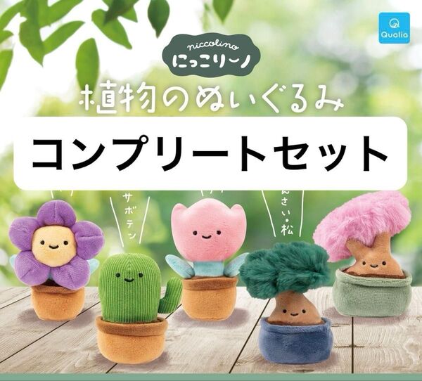 にっこりーノ 植物のぬいぐるみ コンプリートセット