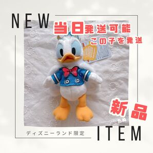 本日発送 新品 ぬいぐるみバッジ ディズニー パルパルーザ ドナルド 2025