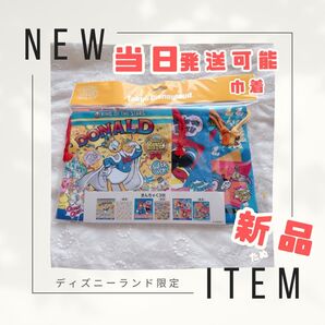 巾着 新品 当日発送可 ディズニー ドナパル パルパルーザ ドナルド 2025