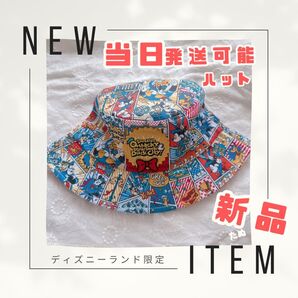 新品 当日発送可 ハット 帽子 ディズニー パルパルーザ ドナルド 2025