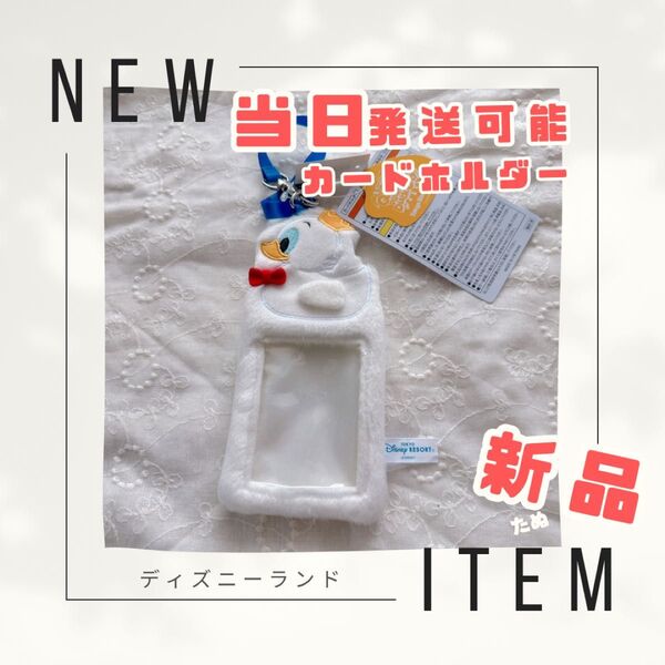 本日発送 新品 カードホルダー 新品 ドナパル パルパルーザ ドナルド 2025