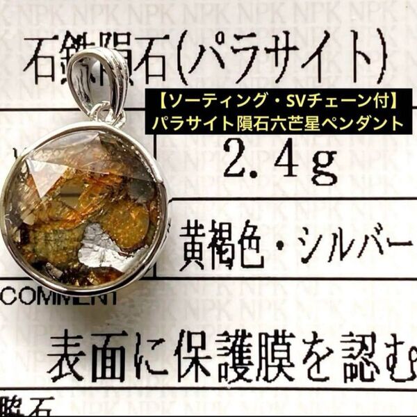 【ソーティング・シルバーチェーン付】希少!パラサイト隕石六芒星ペンダント