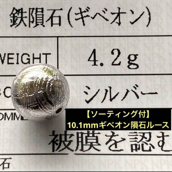 【ソーティング付】希少!10.1mmギベオン隕石ルース粒(シルバー)