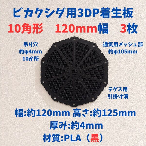 ビカクシダ用着生板 10角形 120mm幅 3枚