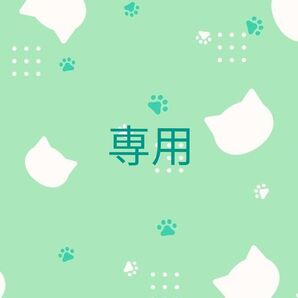 専用