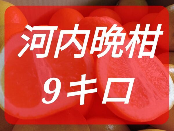 河内晩柑ご家庭用