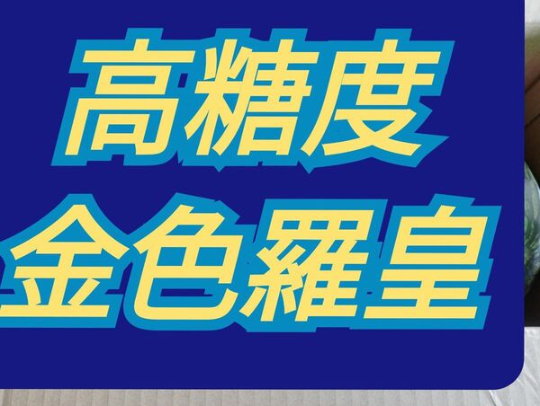 金色羅皇すいか超特大