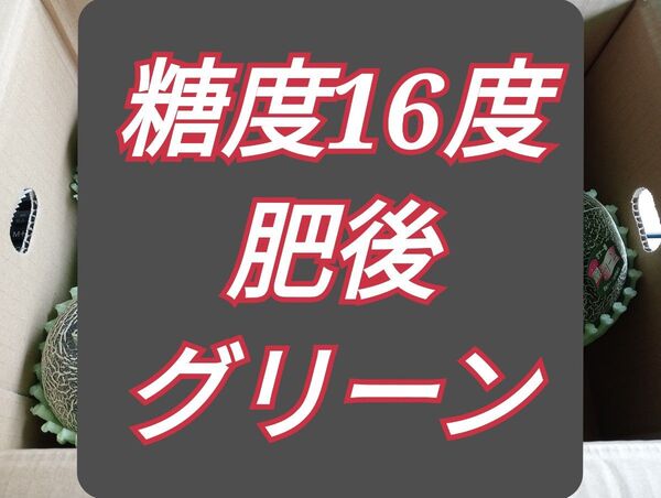 肥後グリーンメロン2玉入り