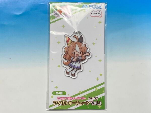 ウマ娘 プリティーダービー ふわぷち アクリルキーチェーン Vol.1 コパノリッキー