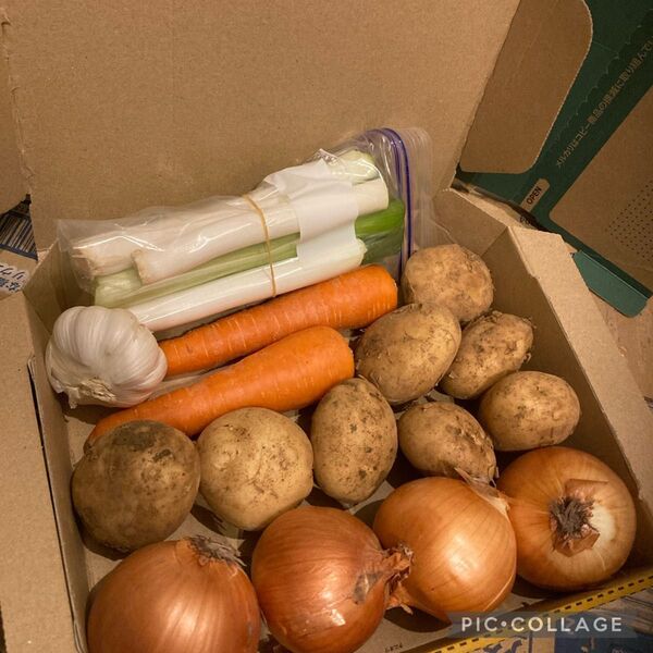 即買い歓迎!野菜詰め合わせ!スペシャルコンパクトBOX!