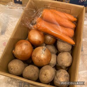 即購入歓迎!野菜詰め合わせ80サイズ!じゃがいも玉ねぎにんじん