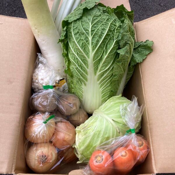 野菜詰め合わせ!100サイズ!