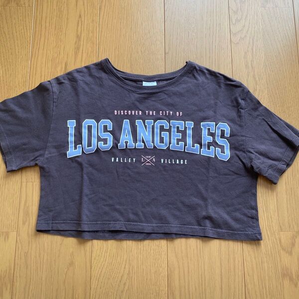 ZARA ザラ zara ガールズ キッズ 子ども 150 Tシャツ 半袖 ショート トップス カットソー