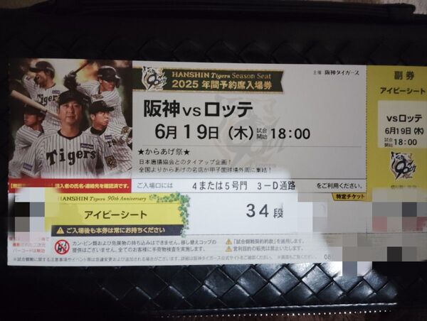 2025年6月19日(木)甲子園球場 阪神タイガース対ロッテ戦 アイビーシートチケット 1枚