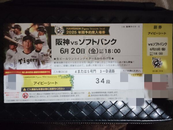 2025年6月20日(金)甲子園球場 阪神タイガース対ソフトバンク戦 アイビーシートチケット 1枚