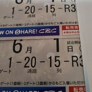 中日×巨人 バンテリンドームナゴヤ6月1日オパールシート連番2枚