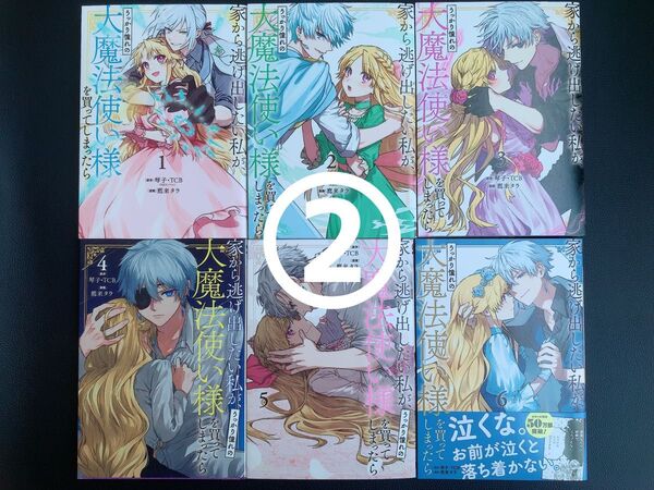 ② 家から逃げ出したい私が、うっかり憧れの大魔法使い様を買ってしまったら 1~6巻【2個口発送】