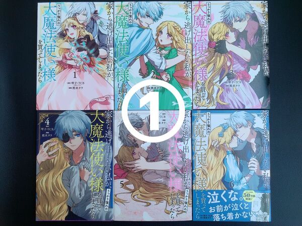① 家から逃げ出したい私が、うっかり憧れの大魔法使い様を買ってしまったら 1~6巻【2個口発送】