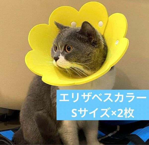 エリザベスカラー 猫用 犬用 ソフト 傷舐め防止 2枚セット Sサイズ