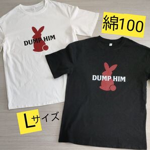 カジュアルTシャツ綿100% 白黒2枚セット Lサイズ