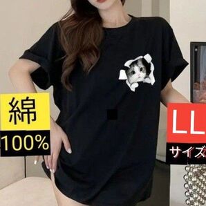 綿100%いたずら猫 半袖Tシャツ ブラックLLサイズ(XLサイズ)