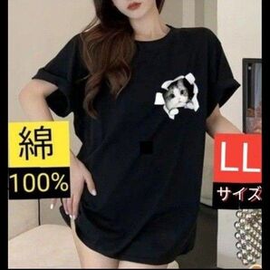 綿100%いたずら猫 半袖Tシャツ ブラックLLサイズ(XLサイズ)