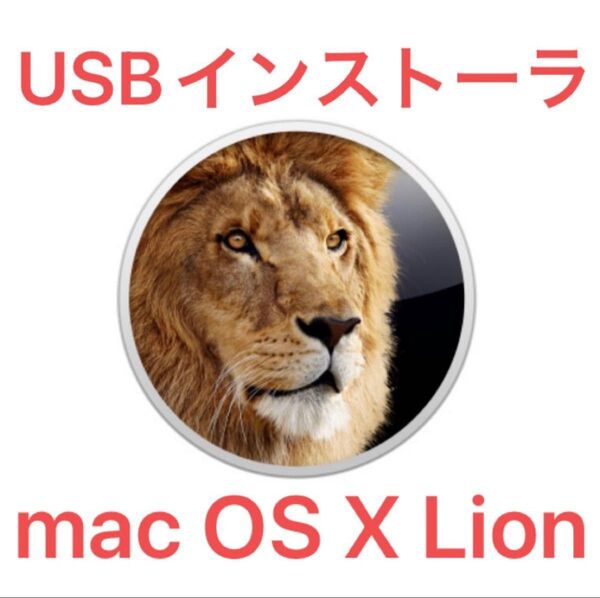 mac OS X Lion 10.7.5 インストールUSBメモリ 起動ディスク インストーラー
