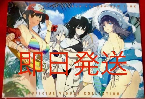 シュリンク付 閃乱カグラ シノビマスター NEW LINK シノマス 10周年記念展 ビジュアルコレクション ゲーム特典コード付属