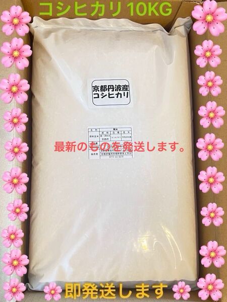 京都 京都丹波産 コシヒカリ 10KG お米