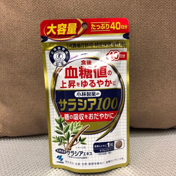 小林製薬 サラシア100 40日分 120粒(c6)