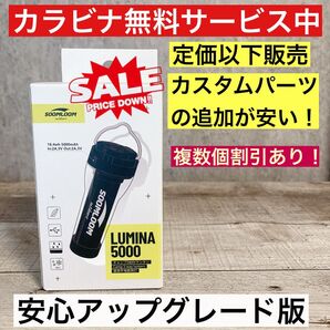 1個 最安値 定価以下 lumina5000 ルミナ5000 スームルーム soomloom ゴールゼロ (オプションも安い) ②