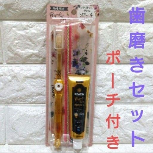 リーチ☆プロポリテラ☆トラベルセット☆歯磨きセット☆歯ブラシ☆歯磨き粉