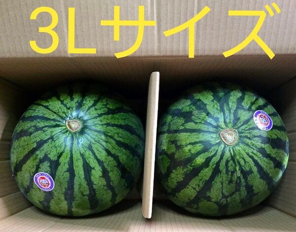 熊本県産 すいか 3Lサイズ 秀 夢未来 2玉セット