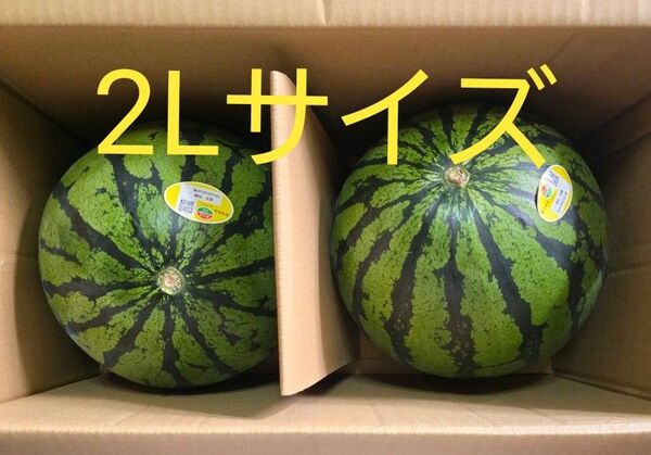 熊本県産 すいか 2Lサイズ 秀 夢大地 2玉セット