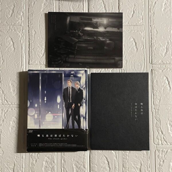 鳴る鳥は羽ばたかないThe clouds gather 完全生産限定版 DVD