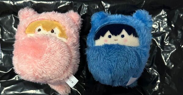 忘却バッテリー くるみたぴぬい 要 清峰