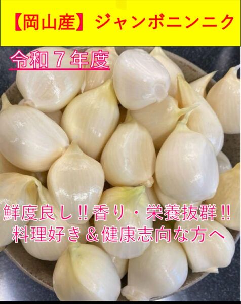 【岡山産】ジャンボニンニク 香り・栄養満点 900g Sサイズバラ 梱包資材込み 令和7