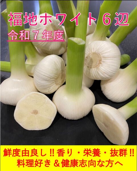 【岡山産】福地ホワイト6辺 香り・栄養満点 料理好き&健康志向の方へ 6キロ