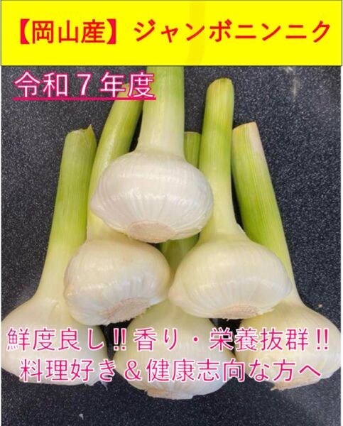 【岡山産】ジャンボニンニク 香り・栄養満点 6キロ令和7