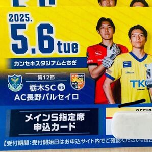 栃木sc ac長野パルセイロ 5/6 s席 一枚