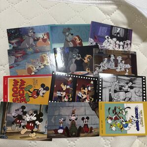 ディズニー ステッカー 48枚セット ラプンツェル アナ雪